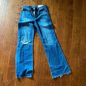 American Eagle Outfitters Blue Flare Wide Leg Jeans